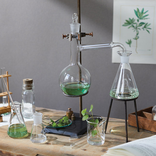 Soins dermocosmétique à base de plantes médicinales