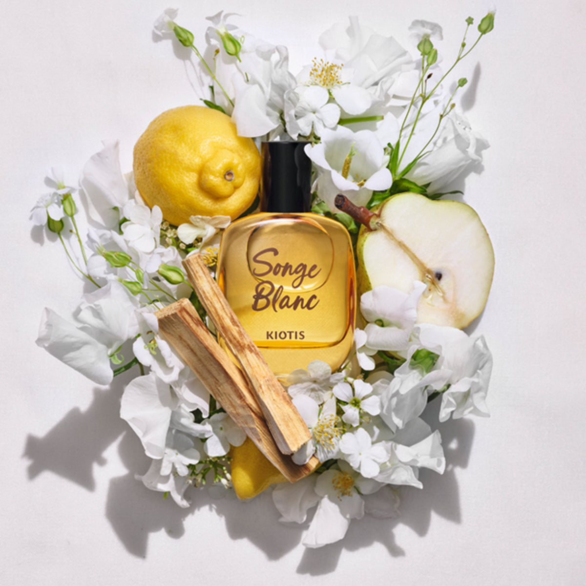 Visuel du Eau de parfum Songe Blanc