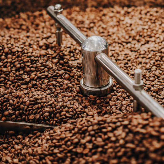 Choisir son café : guide du Maître Torréfacteur