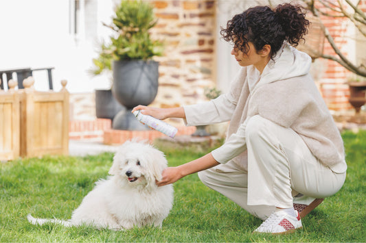 Femme qui  nettoie son chien
