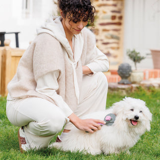 PET BRUSH