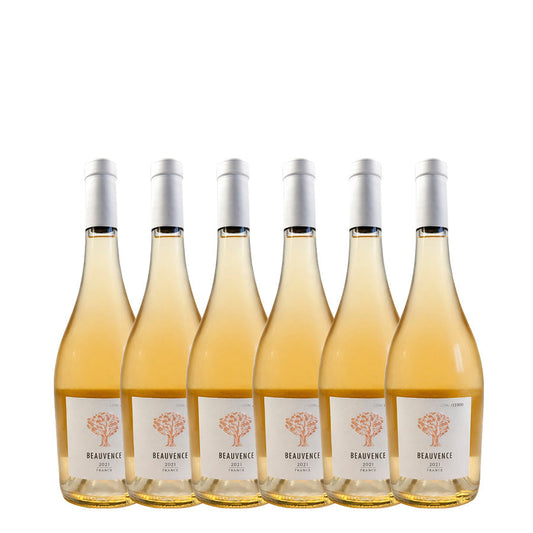 CARTON 6 BOUTEILLES VIN ROSE 2021