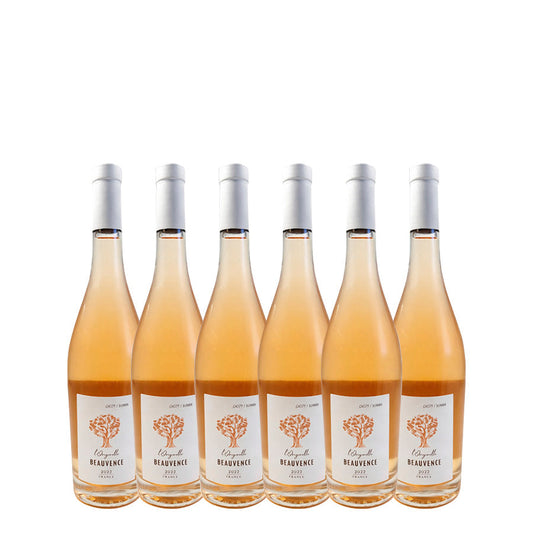CARTON 6 BOUTEILLES VIN ROSE 2022