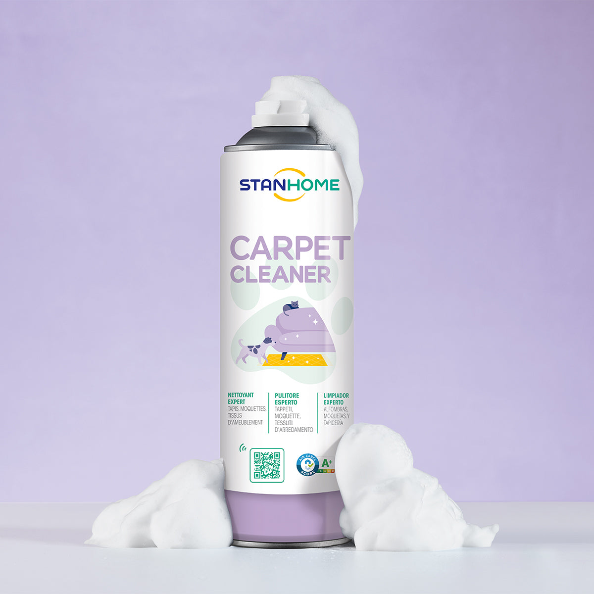 CARPET CLEANER 500 ML 500