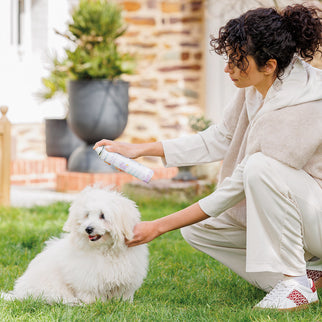 DOG DRY SHAMPOO 200 ML