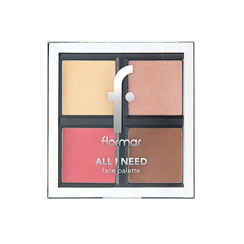 Visuel produit du Palette visage