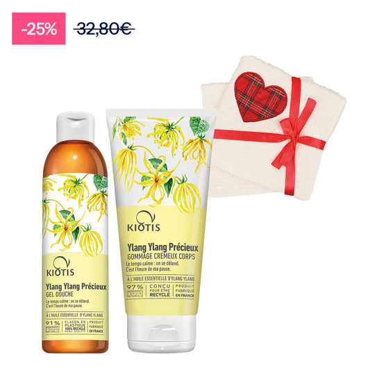 P256 XMAS GD+GOMMAGE YLANG= 2 SERVIETT