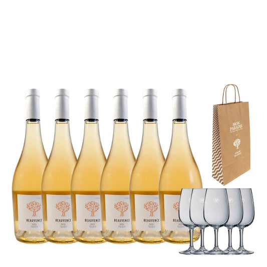 P445 C4 X6 ROSE 2021/6 VERRES + 6 SACS