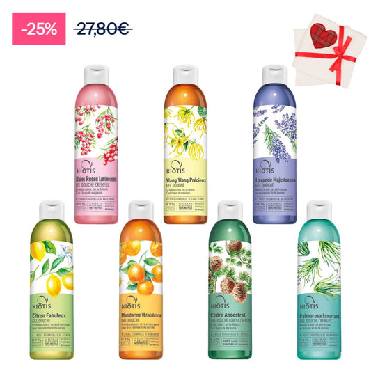P263 XMAS X2 GELS DOUCHE =2 SERVIETTES