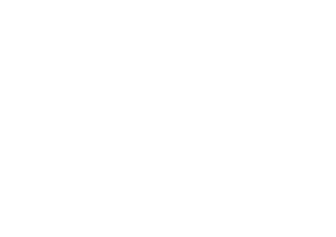 Dr Pierre Ricaud