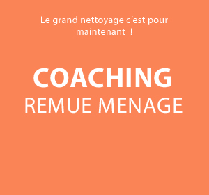 Coaching Remue Menage